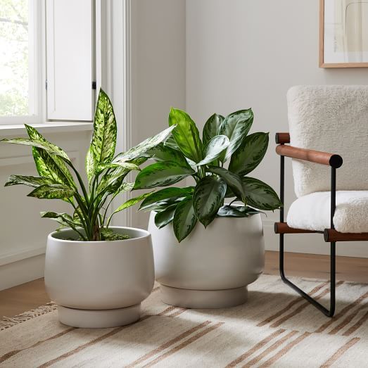 Planter All Sale Planter all sale